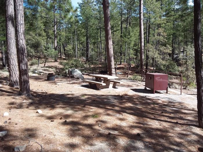 Rose Canyon Campground site #04 with a picnic table, fire ring, camp grill, and food storage.
