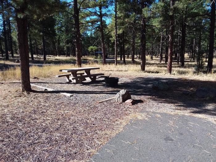 Loop E Campsite 72 which includes a picnic table and fire ring