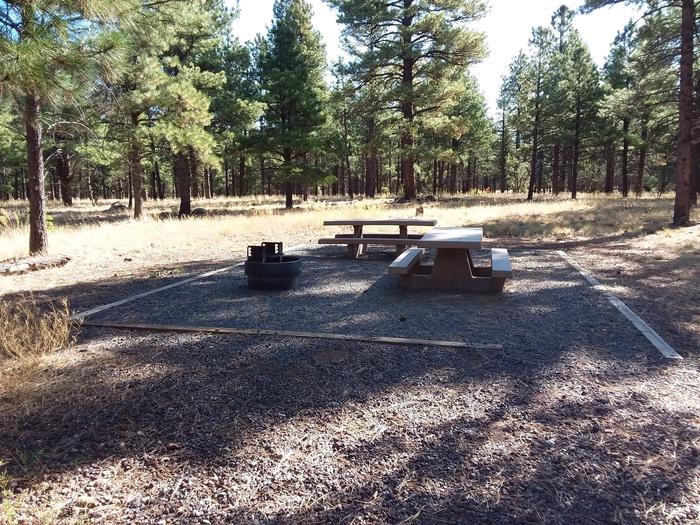 Loop E Campsite 73 partially shaded with picnic tables and a fire ring