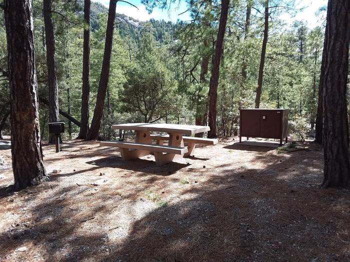 Rose Canyon Campground site #05 with a picnic table, camp grill, fire ring, and food storage.