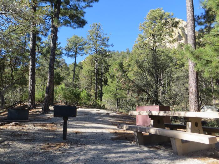 Rose Canyon Campground site #11 