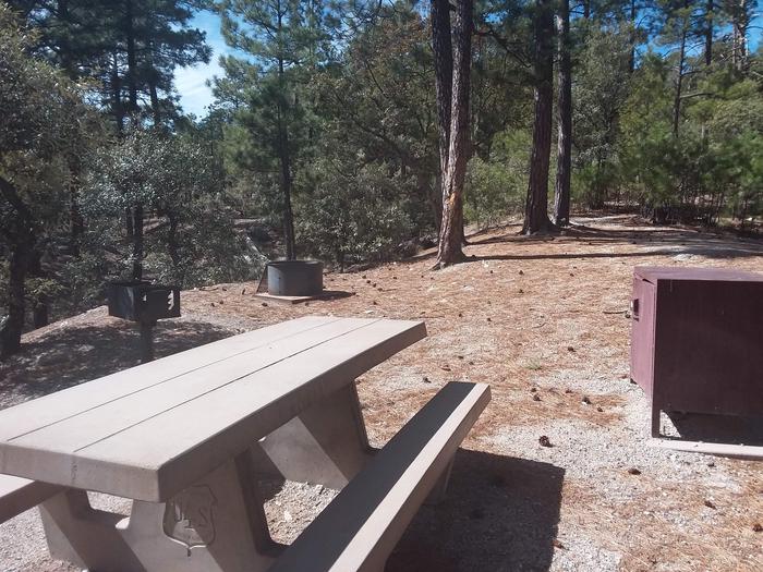 Rose Canyon Campground site #11 with a picnic table, fire ring, camp grill, and food storage.