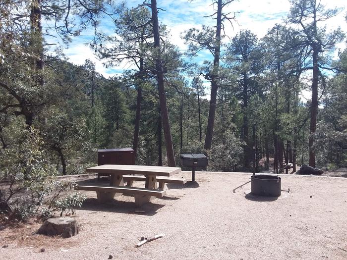 Rose Canyon Campground site #15 with a picnic table, fire ring, food storage, camp grill, and lantern pole.