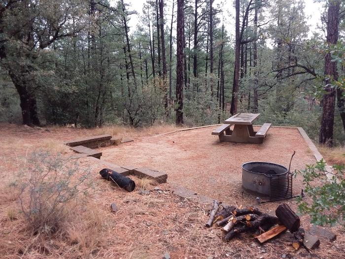 Hilltop Campground Site 2 Loop A: table and fire pit and firewoodHilltop Campground Loop A Site 2