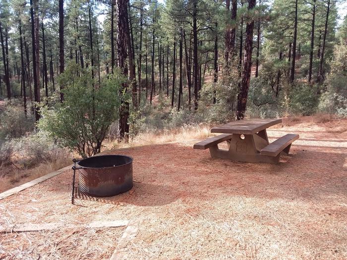 Hilltop Campground Loop B Site 12: table, fire pitHilltop Campground Loop B Site 12