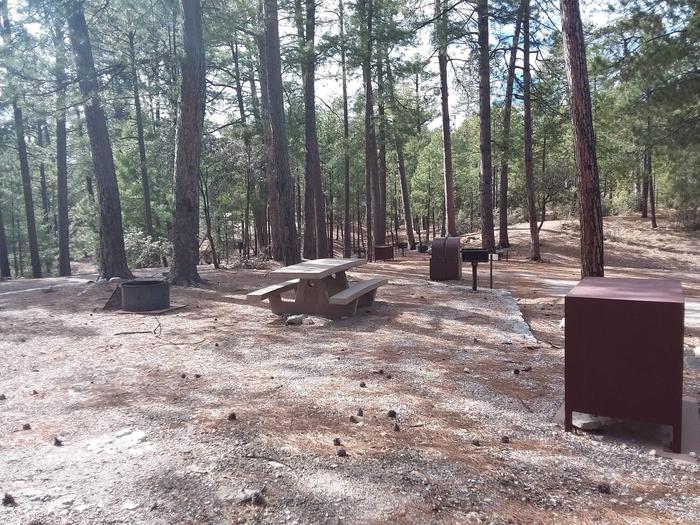 Rose Canyon Campground site #50 with a picnic table, fire ring, camp grill, food storage, nearby parking, and nearby trash bins.