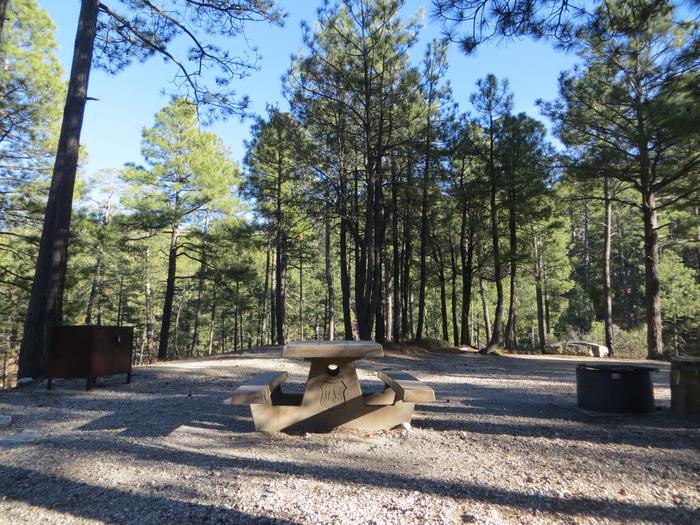 Rose Canyon Campground site #50 featuring the wooded picnic area, food storage, and fire pit. 