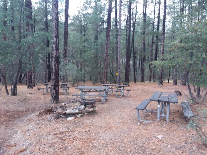 Turney Gulch Campsite with lots of shading as well as multiple picnic tables and a fire pit