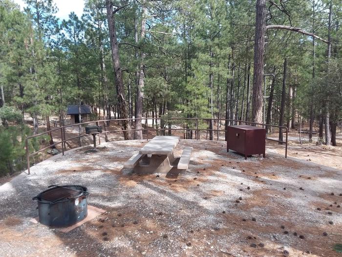 Site 60 with a picnic table, fire ring, food storage, and a camp grill.