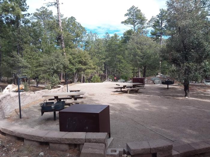 Rose Canyon Campground largest site #61 featuring two picnic tables, grills, fire pits, and food storage with camping spaces. 