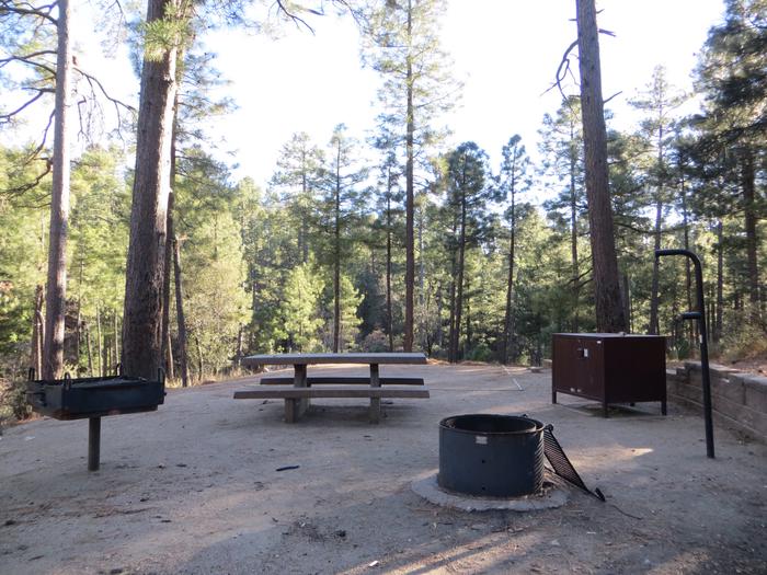 Rose Canyon Campground #62 featuring picnic area, fire pit, and camping space. 