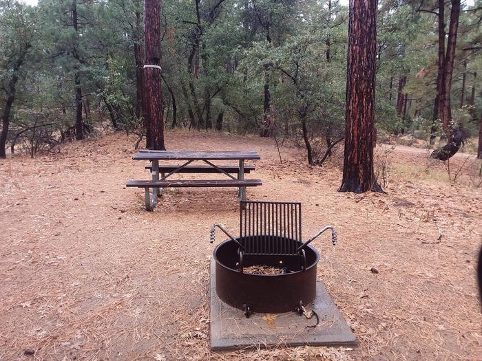 Site 5 campfire ring and grill, and a tableCampsite 5