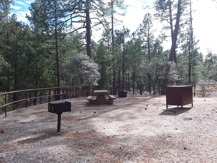 Rose Canyon Campground site #63 with a picnic table, fire ring, food storage, and a camp grill.