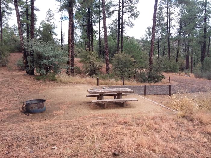 Hilltop Campground Loop C Site 21: table, fire pit Hilltop Campground Loop C Site 21