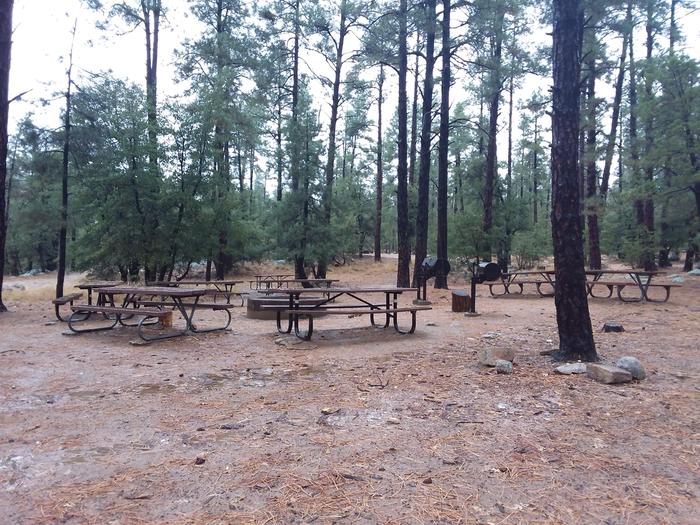 Upper Wolf Group Campsite with a large fire pit as well as multiple grills and picnic tables