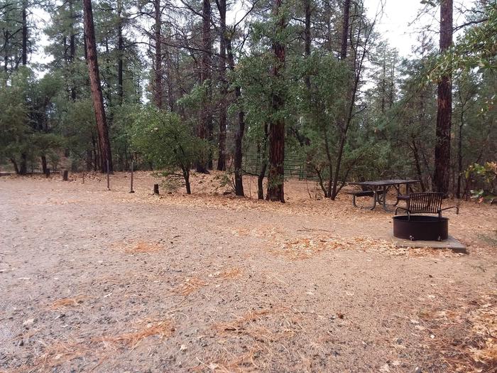 Site 11 open space with table and campfire grill tucked close to trees.Campsite 11 open area