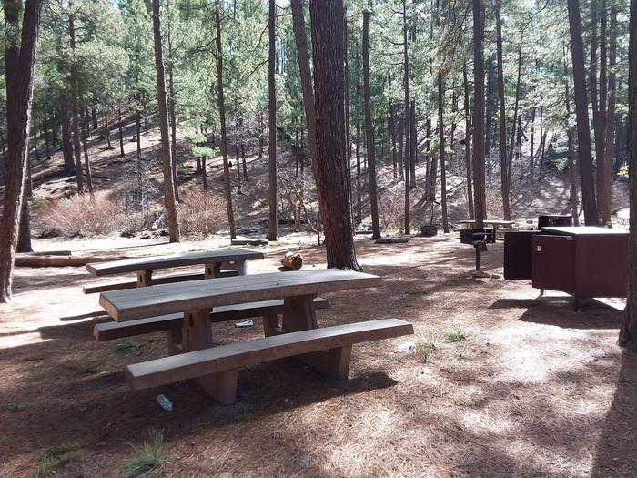 Rose Canyon Campground site #69 featuring large picnic area with two tables, fire pits, and food storage. 