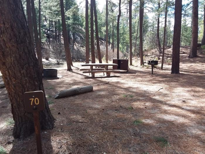 Rose Canyon Campground site #70 with a picnic table, fire ring, food storage, and a camp grill.