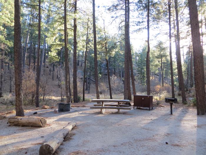 Rose Canyon Campground site #70 Rose Canyon Campground site #70 featuring large, wooded picnic and camping spaces backing to the mountain.
