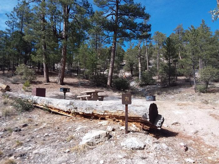Rose Canyon Campground site #71 with a picnic table, food storage, camp grill, and a fire ring.