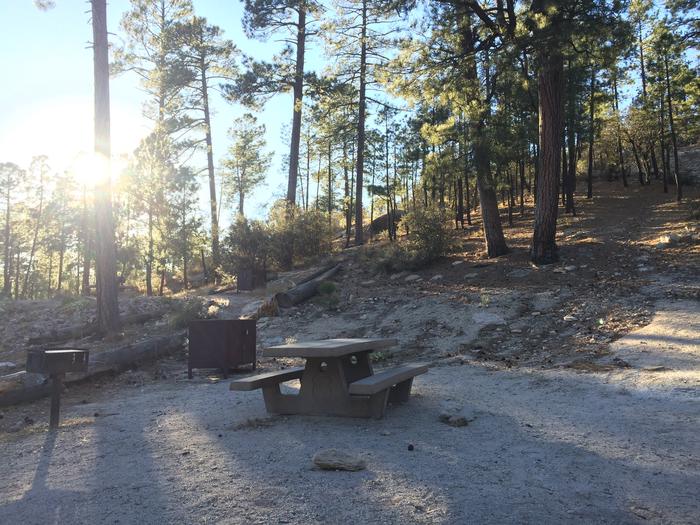 Rose Canyon Campground site #71 featuring mountain side picnic area and camping space.
