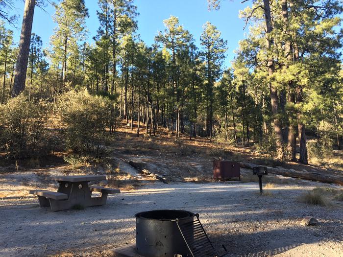 Rose Canyon Campground site #72 with a picnic table, fire ring, food storage, and a camp grill.