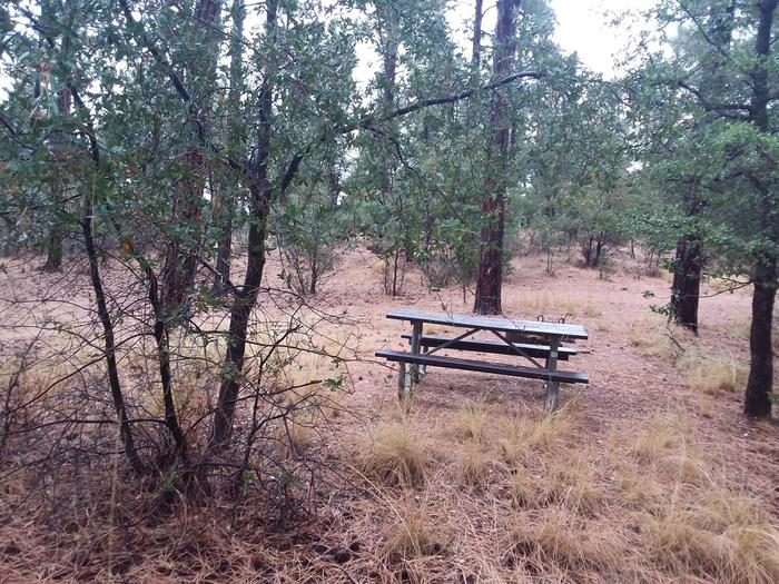 Site 17 table surrounded by trees and grassCampsite 17