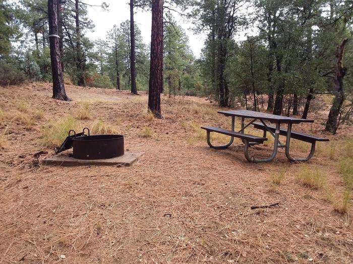 Site 19 with a grill and campfire plus a table Campsite 19