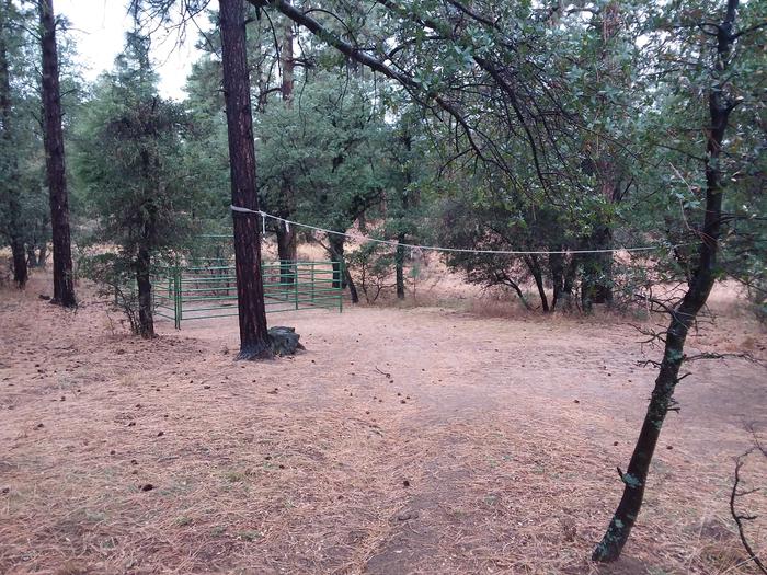 Site 20 equestrian enclosure and rope hanging between treesCampsite 20 enclosure