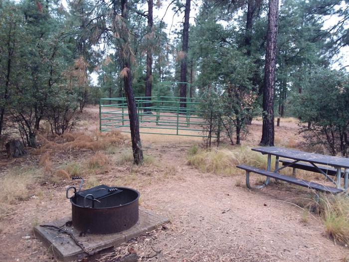 Site 22 campfire grill, table, and equestrian enclosureCampsite 22