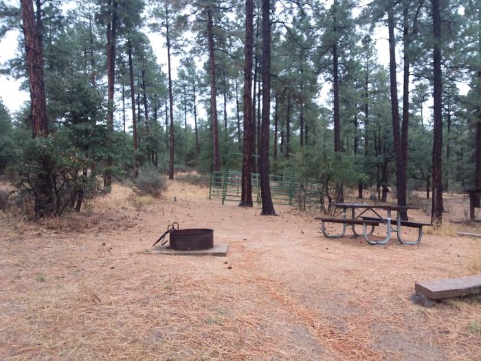 Site 23 with picnic table, and campfire with grill with enclosure behind treesCampsite 23