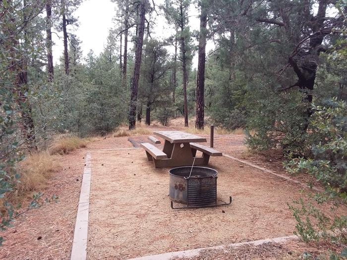 Hilltop Campground Loop C Site 34: table, fire pit Hilltop Campground Loop C Site 34