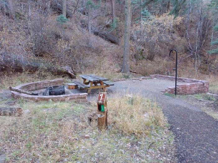 Site 1 with a picnic table, fire ring, and lantern pole. Walk-in campsite.