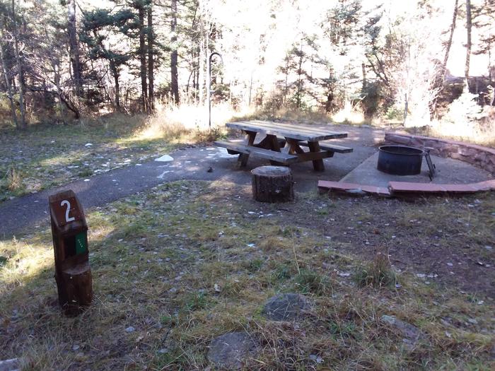 Site 2 with a picnic table, fire ring, and a lantern pole. Walk-in campsite.
