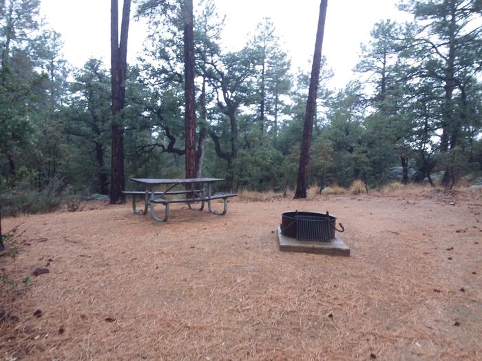 Site 24 table, and campfire ring Campsite 24