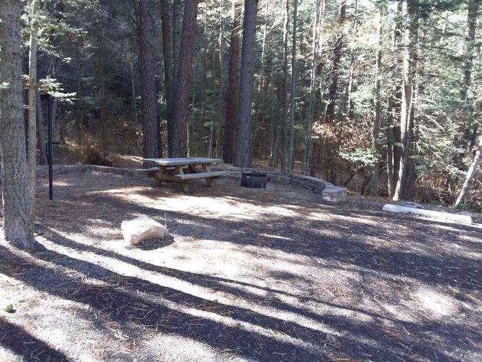 Site 7 with a picnic table, fire ring, lantern pole, and parking.
