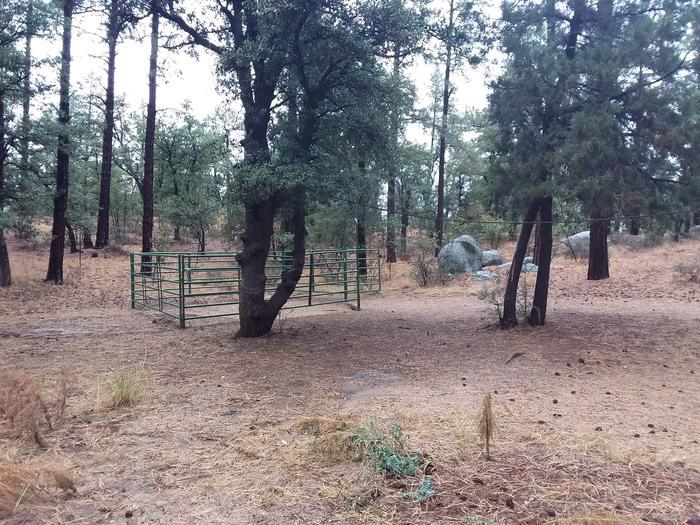 Site 28 equestrian enclosure behind a tree Campsite 28 enclosure