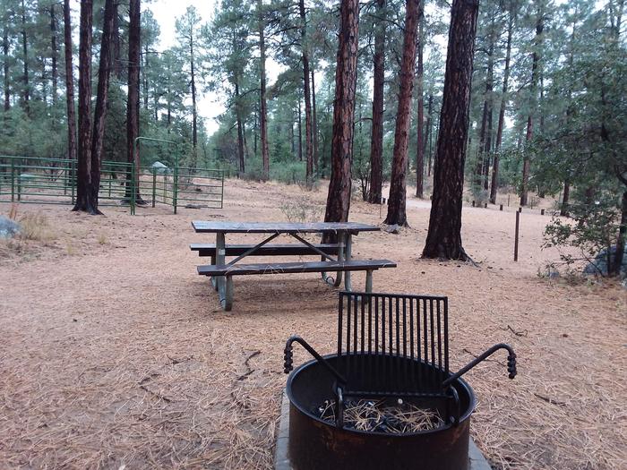 Site 29 equestrian enclosure, table, and campfire grill.Campsite 29 