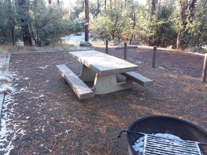 Campsite 13 with a picnic table, campfire ring and an open surface for tent placement