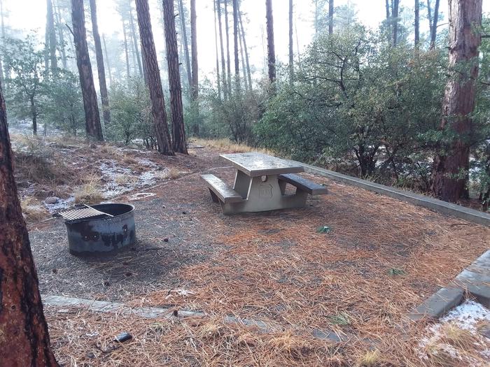 Campsite 14 picnic table and campfire ring