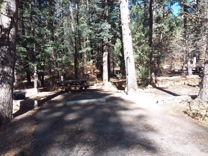 Site 19 with a picnic table, campfire ring, lantern pole, and parking.