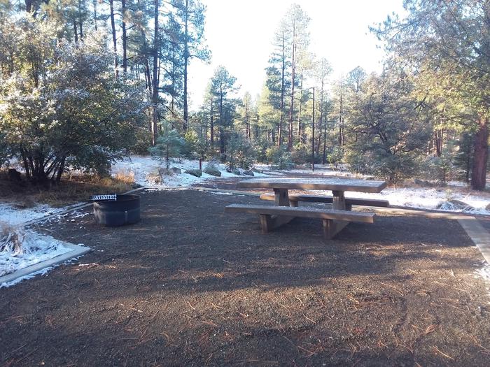 Campsite 15 with a picnic table and campfire ring