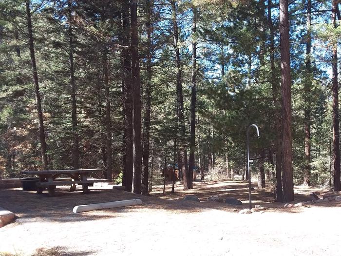 Site 28 with a picnic table, fire ring, lantern pole, and parking.