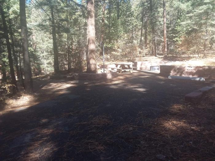 Site 29 with a picnic table, fire ring, lantern pole, and parking.