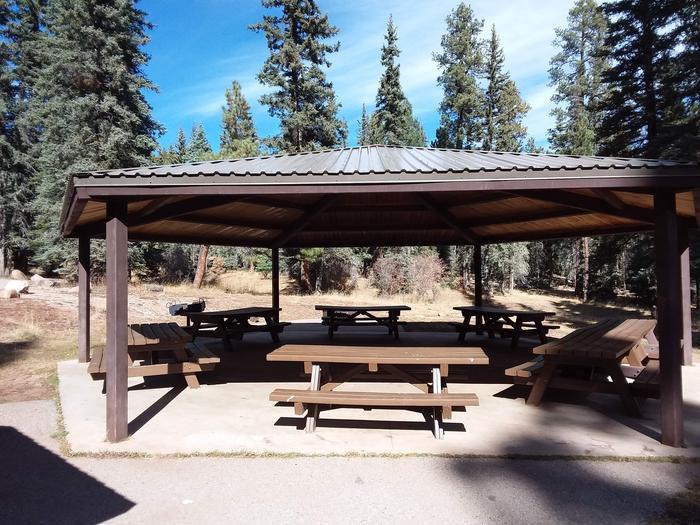 A metal ramada provides shade for picnic tables in a coniferous forest.