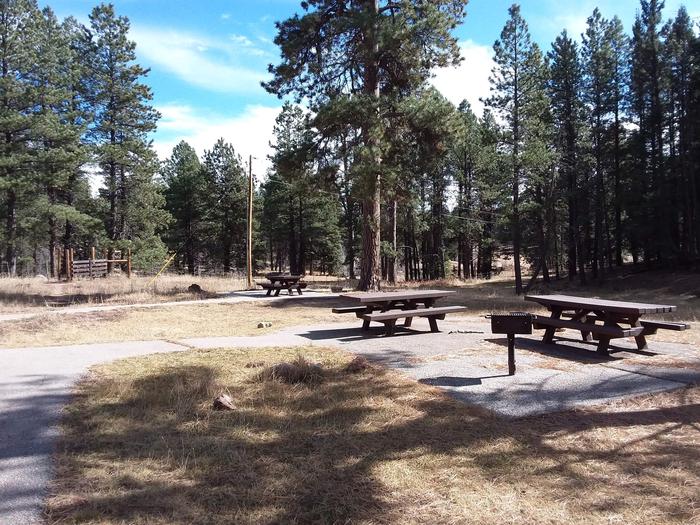 Picnic area with camp grills.