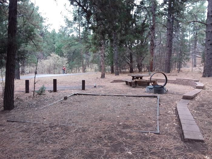 Potato Patch Campground Loop A Site 005: table, fire pit, and tent padPotato Patch Campground Loop A Site 005