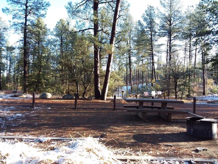 Campsite 32 with a picnic table, campfire ring and an open space for tent placement