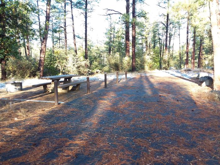 Campsite 32 with a picnic table, campfire ring and paved parking space