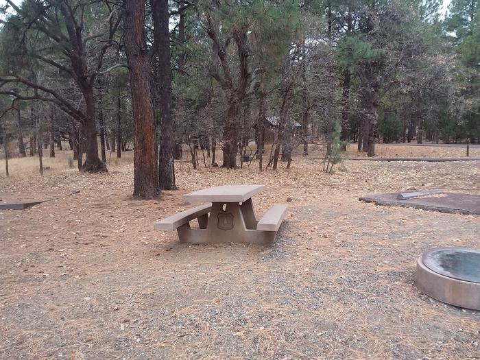 Potato Patch Campground Loop A Site 009: table, fire pitPotato Patch Campground Loop A Site 009